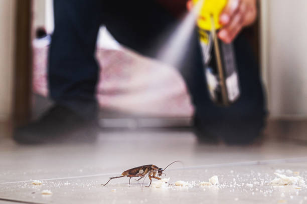 Flea Control Services in South Lakes, AK